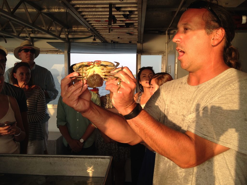 Chris Paparo Holding a pregnant blueclaw crab. 