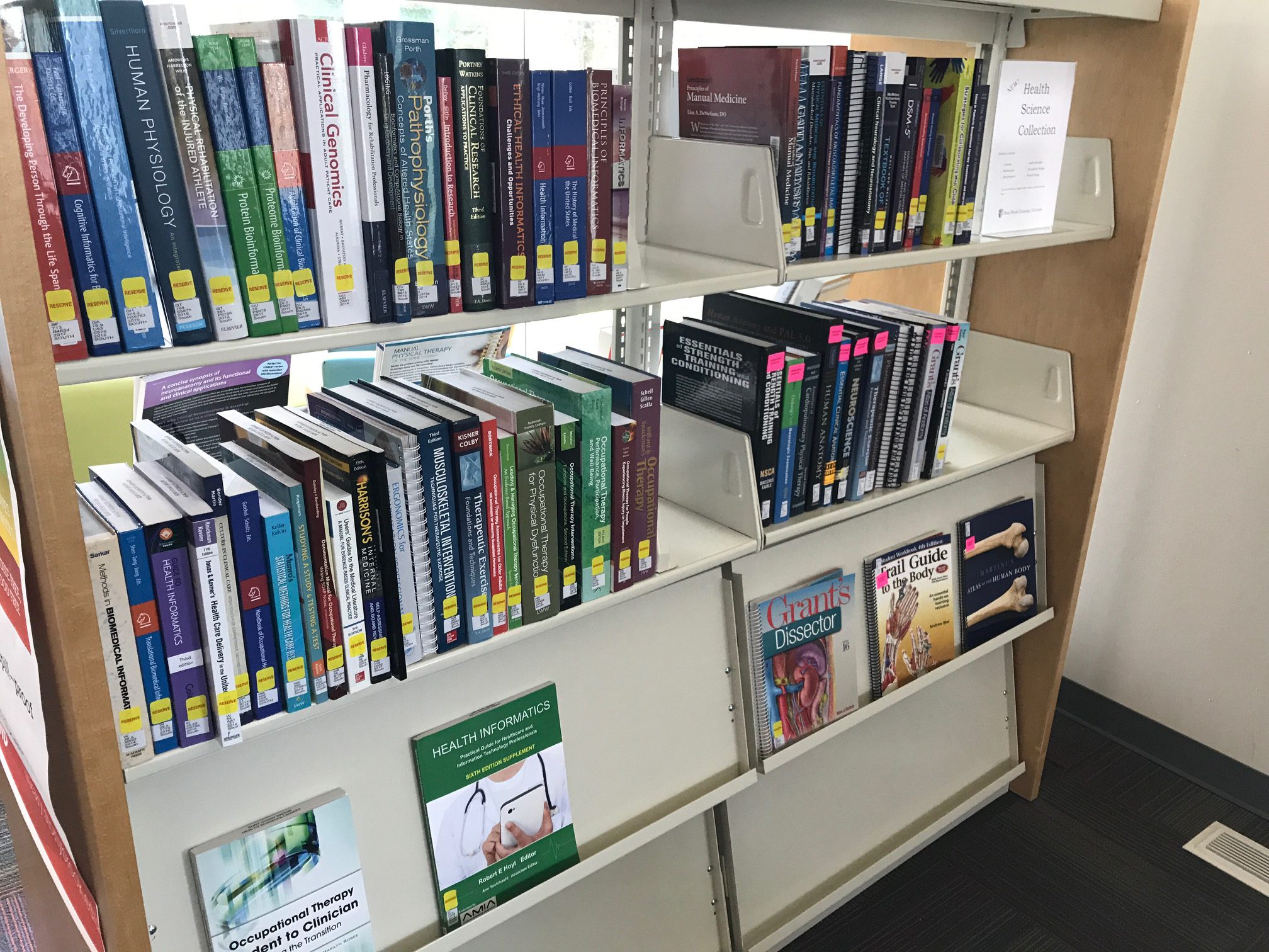 Back, Southampton! Stony Brook University Libraries