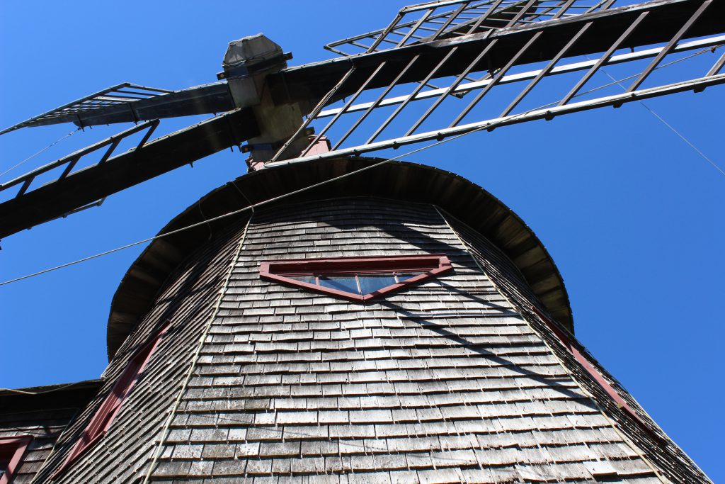 Windmill Tales Stony Brook University Libraries