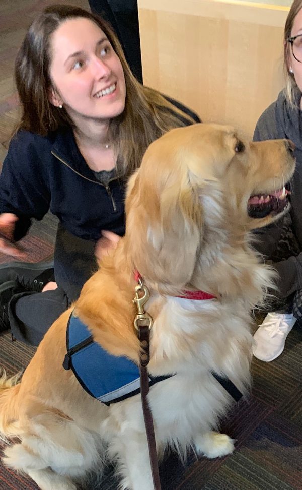 Therapy Dogs at Southampton | Stony Brook University Libraries