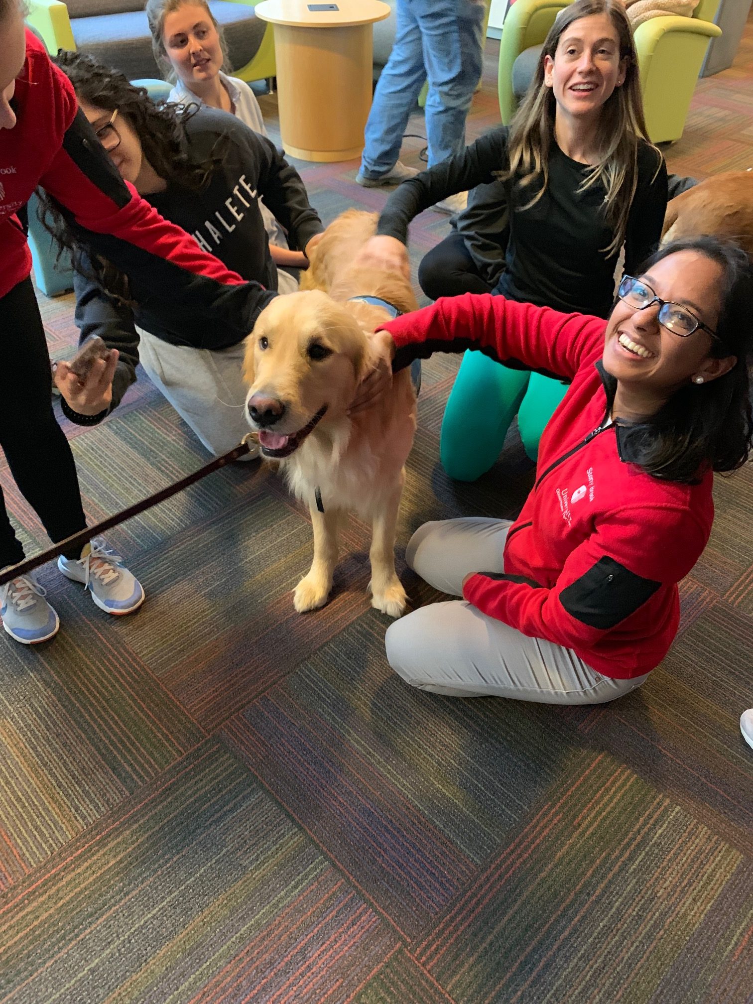 Therapy Dogs at Southampton | Stony Brook University Libraries