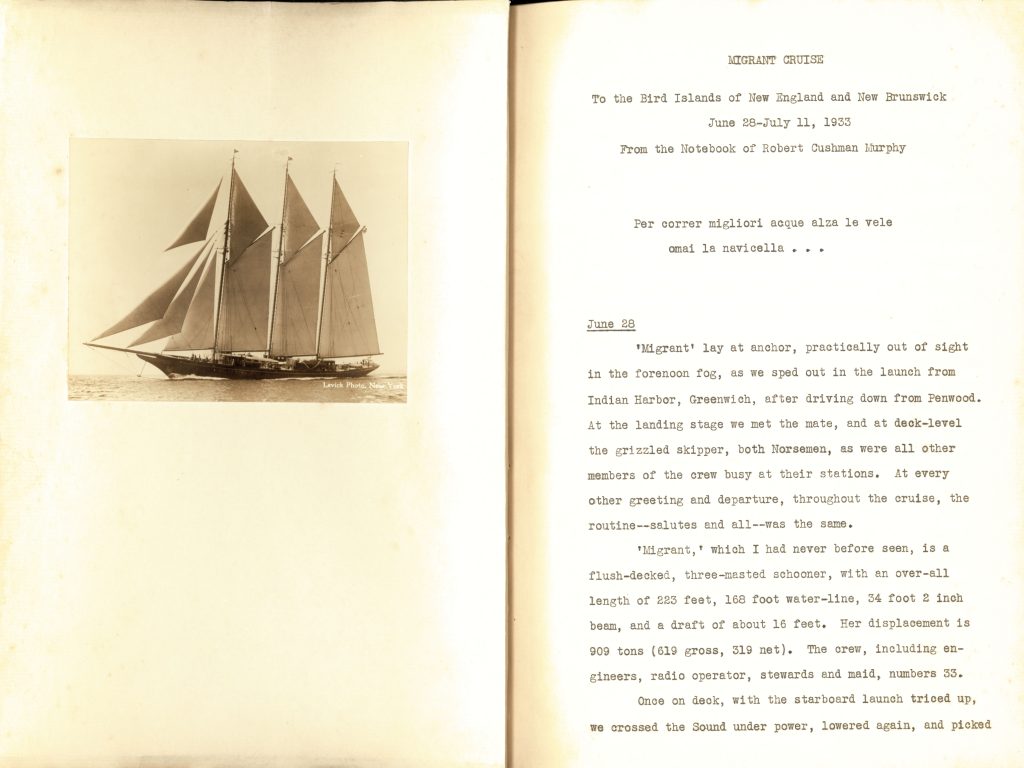 Page from Robert Cushman Murphy’s journal about a cruise between Long Island and the Bay of Fundy on the three-masted schooner Migrant from June 28, 1933 to July 10/11, 1933. The Bay of Fundy is a bay between the Canadian provinces of New Brunswick and Nova Scotia.