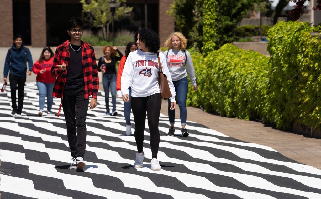 Located behind the Melville Library, the Zebra Path was originally painted in 1981 by Stony Brook student Kim Hardiman ‘82 as part of an advanced seminar in public art. The 232′ x 12′ handpainted walkway, regularly refurbished with new coats of paint, constitutes one student’s lasting tribute to Stony Brook campus. Read more.