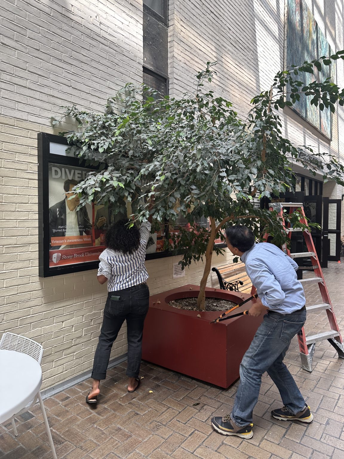 Keeping the Galleria Green | Stony Brook University Libraries