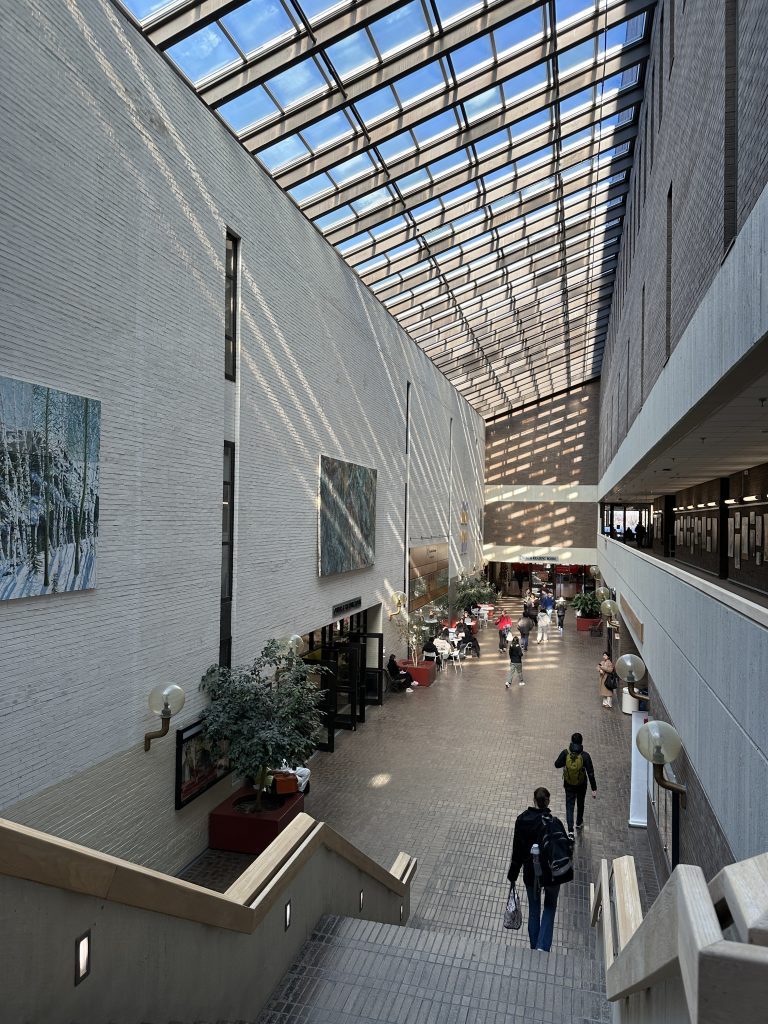 View down a flight of stairs across an open space lit by overhead skylights.