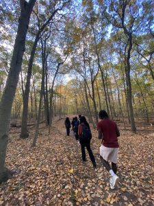 students walking through the woods