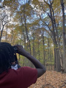 student looking up at the trees with binoculars