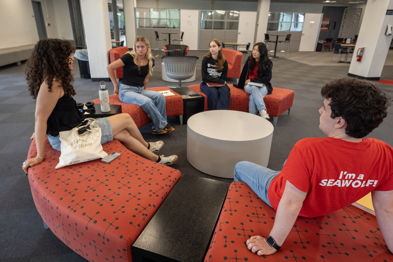 260707_Library NRR_482