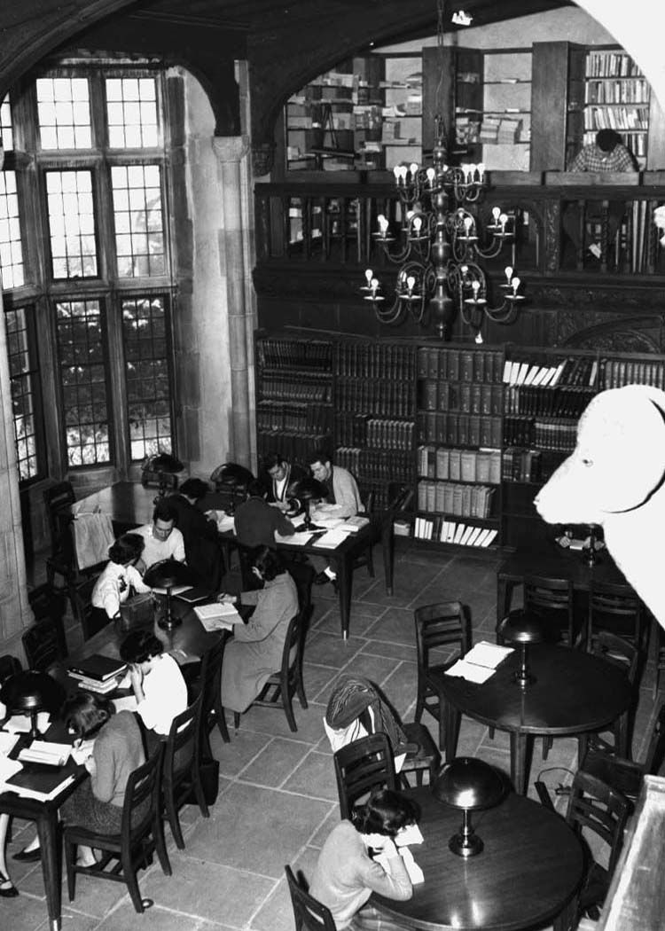 Interior of library at Coe Hall at Planting Fields, Oyster Bay, c.1959